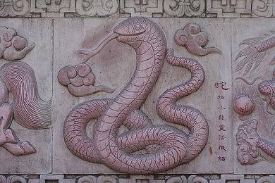 《使命召唤：黑色行动6》免费周末即将开启