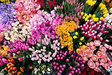 《骷髅岛：金刚崛起》游戏时长5-6小时 地图大秘密多