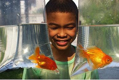 玩家老家翻出大量FC卡 想要卖高价有条件