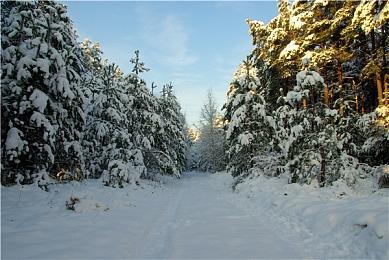 竞速游戏《达喀尔拉力赛》国区涨价 116元升至159元